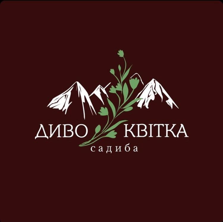 Садиба Диво Квітка タターリウ エクステリア 写真